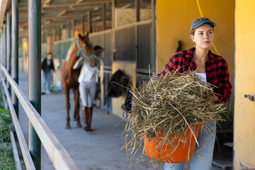 European employee of animal farm carries basket with dried grass for feeding herbivores horses....