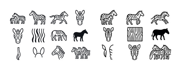 Obraz premium Set of stylized zebra outlines and patterns in black and white