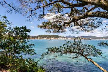Forest and Buildings at Bombinhas beach