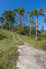 Fototapeta premium Forest and trail at Sepultura beach