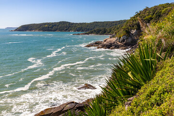 Cliffs and forest at Sepultura beach