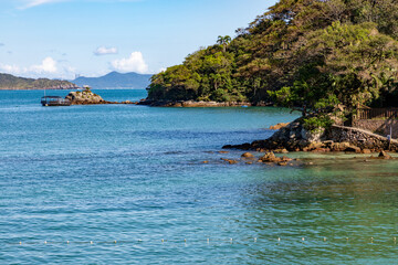 Naklejka premium Forest at Sepultura beach