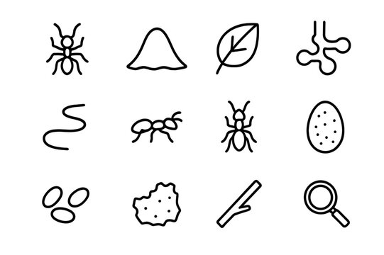 Ant Colony Icons. Ant colony. Line icon set of ant colony: ant, hill, leaf, tunnel, path, worker, queen, egg, line, food crumb, stick, magnifying glass. All
