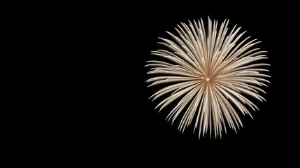 Fototapeta premium Bright fireworks burst in a dark sky, creating a stunning display of light and color.