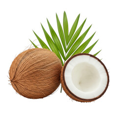 Two coconuts, one whole with a textured brown husk and one cut in half revealing white flesh, displayed with a vibrant green palm leaf behind them.