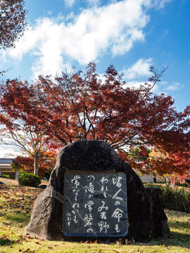 紅葉に映える万葉歌碑の秋景色