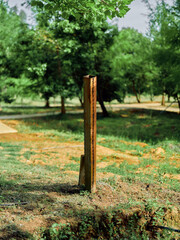 Post metal rust stake in park grass and tree nature scene, weathered iron pole standing alone in garden landscape. Outdoor greenery, soil and aged industrial texture on ground.