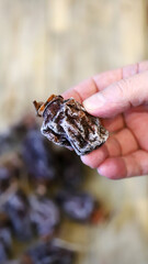 Close-up of hands holding dried persimmons, or hoshigaki.