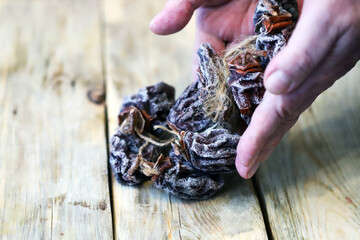 Close-up of hands holding dried persimmons, or hoshigaki.