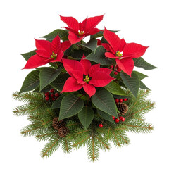 A vibrant poinsettia plant with bright red bracts and dark green leaves, adorned with pine branches, red berries, and pine cones.