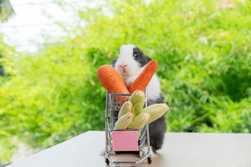 Cute black and white rabbit pushing miniature shopping cart filled with fresh carrots and corn. Funny bunny pet shopper concept standing on wood table in green nature background.