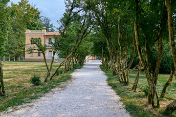Path gravel trees mansion walkway in park with shaded avenue leading to classic villa