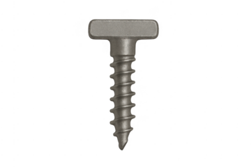 Metal t-head screw isolated on transparent background