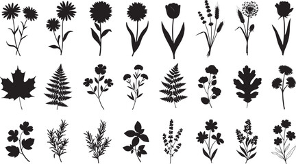 Detailed black floral and leaf silhouettes arranged in rows featuring diverse botanical shapes and wildflower forms, Concept of nature, botany and floral design