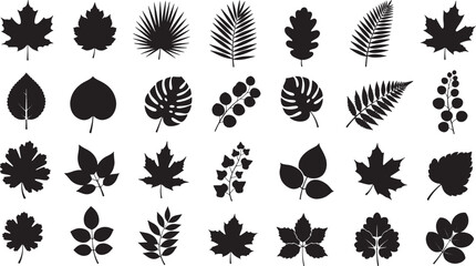 Collection of diverse black leaf silhouettes arranged in rows showing botanical shapes and foliage variety, Concept of nature, botany and seasonal design