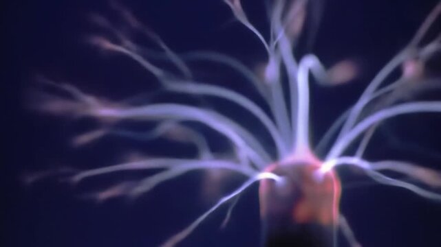 Plasma Ball Experiment: Capturing Electrical Discharge in High Definition.