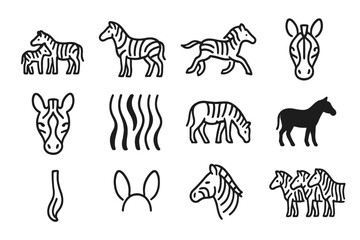 Fototapeta premium Zebra Family Icons. Zebra Family Icons. Line icon set of Zebra Family Icons: zebra with foal, standing zebra, running zebra, zebra head, zebra face close-up,
