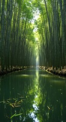 Towering bamboo forest with water reflections and sunlight streaming through trees