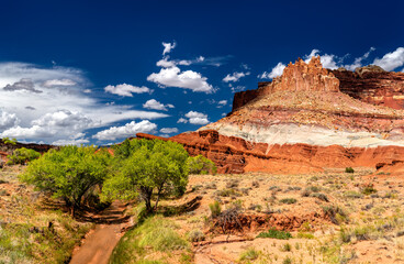 Fototapete bei efototapeten.de bestellen   