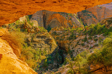 View from beneath a sandstone overhang looking into the steep cliffs and vegetation of Zion National Park, Utah, showcasing layered Navajo sandstone and desert greenery. © Zhiqi
