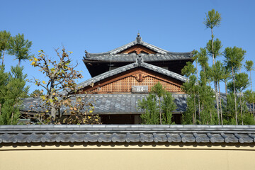 秋の大徳寺　大慈院参道から瑞峯院を望む　京都市北区紫野
