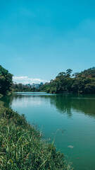 Blue Sky Over Ibirapuera Park During the Summer Season