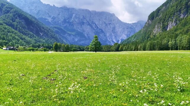 Drone Slovenia 4k. Logar Valley, one of the most beautiful alpine valleys in Europe, located in the Alps of northern Slovenia.&nbsp;popular summer travel tourism destination for hiking in Europe.