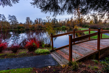 Wooden foot bridge over the stream in pond area in the park in autumn season