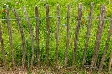A fence made of sticks against the backdrop of a meadow.