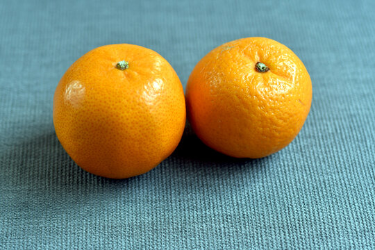 Due freschi mandarini su tela