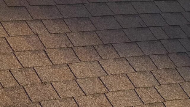 A close-up of a shingled roof on a house during sunset with one side shaded.