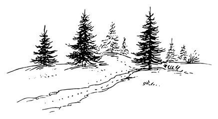 Fototapeta premium Hand drawn Winter Pine Forest Landscape with Snowy Path Black and White Doodle Vector Illustration