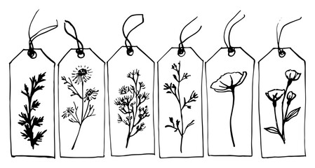 Set of hand drawn floral gift tags with string loops collection of botanical paper labels with wild flowers and herbs sketches © Kaz