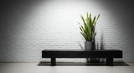 Sansevieria plant sits in a grey pot on a simple wooden bench against white brick wall backdrop.