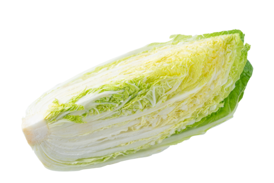 透明背景（png）に四分の一にカットした白菜