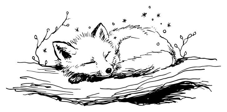 キツネのスケッチ」の写真素材 | 56,487件の無料イラスト画像 | Adobe