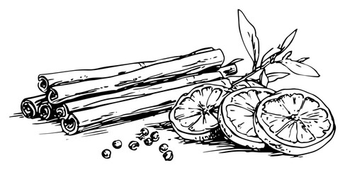 Naklejka na ściany i meble Dried orange slices and cinnamon sticks spices hand drawn vector sketch illustration of winter mulled wine ingredients