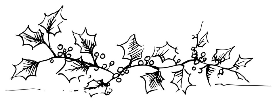 Christmas holly berry leaves border hand drawn vector sketch illustration of floral divider decoration