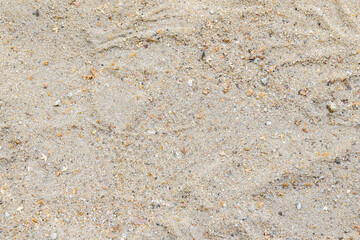 Simple coarse sand texture background, top view of sandy ground surface with small stones and pebbles. Natural grainy beach or desert floor detail, abstract material wallpaper, full frame, nobody