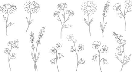 A vibrant and versatile abstract graphic design featuring a dynamic interplay of geometric shapes and bold color gradients perfect for modern branding and digital art applications