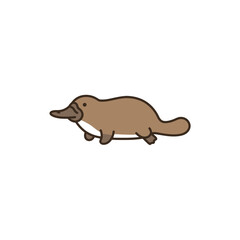 Charming platypus waddling with adorable feet