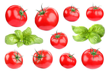 Fresh tomatoes and green basil leaves isolated on white, set