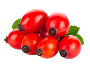 A cluster of bright red rosehips with green leaves, isolated against a solid black background