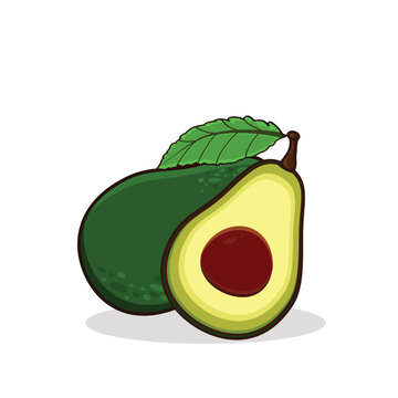 Avocado. avocado cartoon. avocado vector