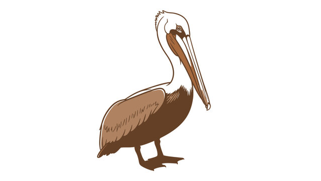 Coastal charm: Artistic pelican illustration ideal for nature themes and educational resources, adaptable design