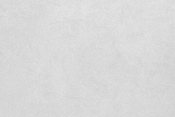Light Grayish White Stone Surface Texture