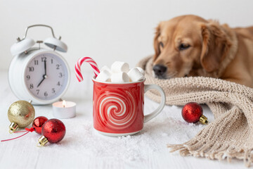 Cozy winter scene featuring a golden retriever dog resting beside a steaming mug of hot chocolate, surrounded by festive holiday decorations