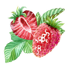 Composition of juicy, ripe strawberries. Whole and a half red berries with green leaves on top. Vegan, healthy, vitamin-rich. Diet dessert. Hand drawn watercolor illustration. Single isolated object