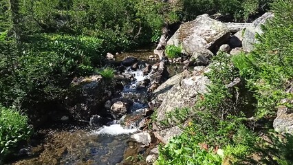 Stone boulders block the bed of a mountain stream and flow down as a cascading waterfall in a summer forest surrounded by tall grass.