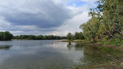 The gentle bank of a wide lake with dense bushes on the edge on a cloudy summer day.